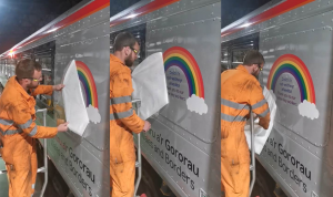 rainbow trains