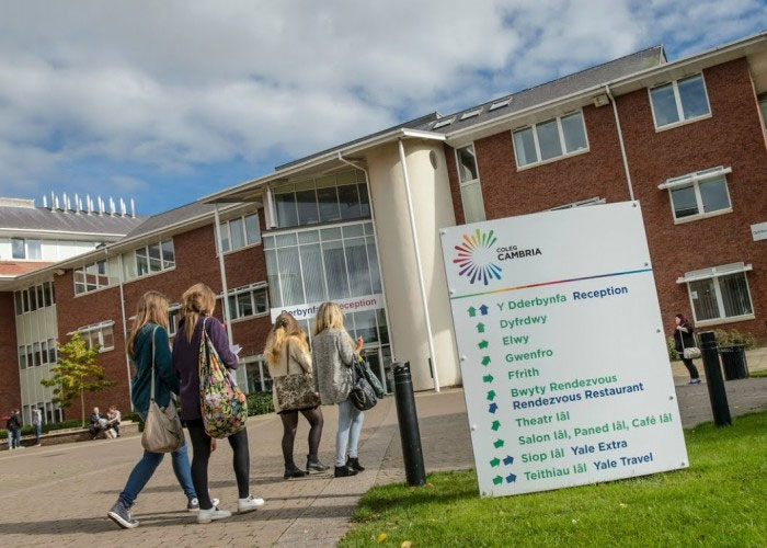 ‘Excellent’ inspection result for pioneering Welsh language partnership