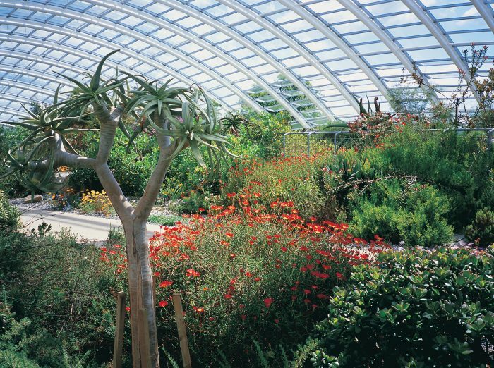 Botanic-Gardens-S125-760-A6W-Crown-Copyright-2020-Visit-Wales-002-e1600336708607