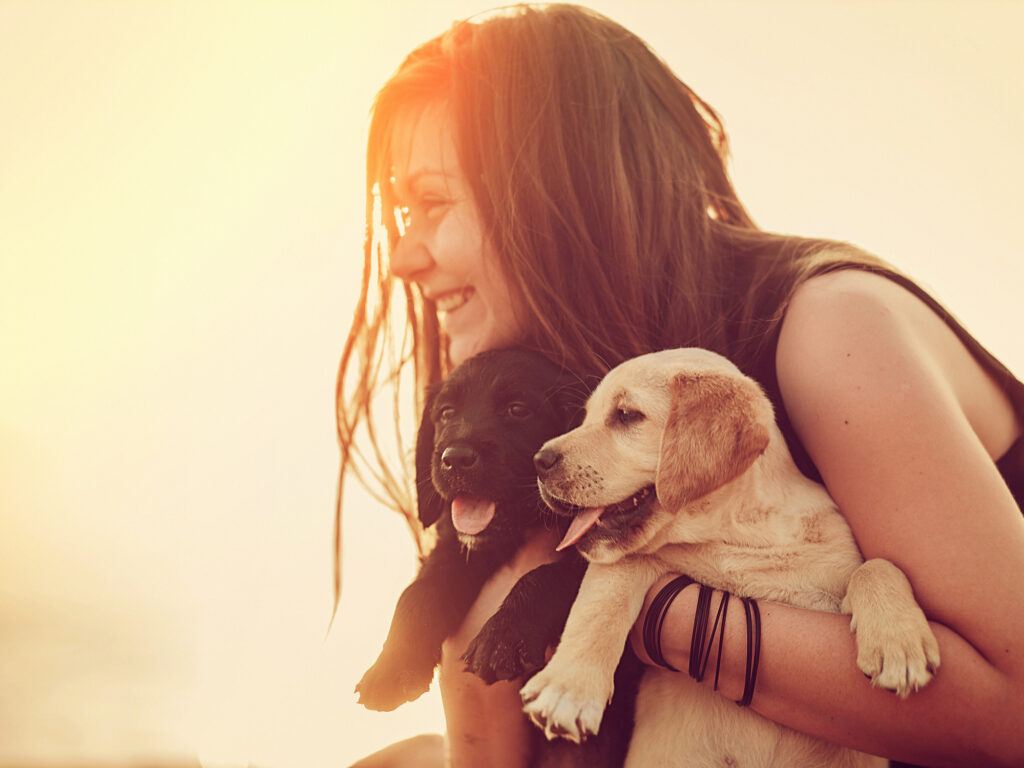 The new puppy support service you would be barking mad to miss