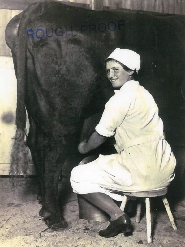 Dairy-maid-milking-cow