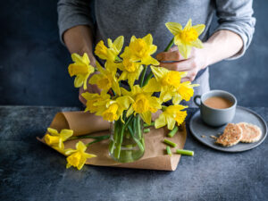 St-Davids-Day-Daffodil-V2_AD