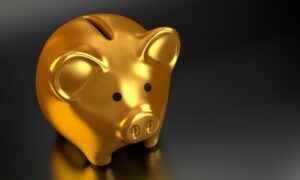 gold piggy