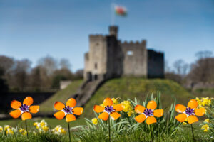 Forever Flowers at Cardiff Castle