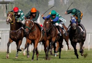 horse racing