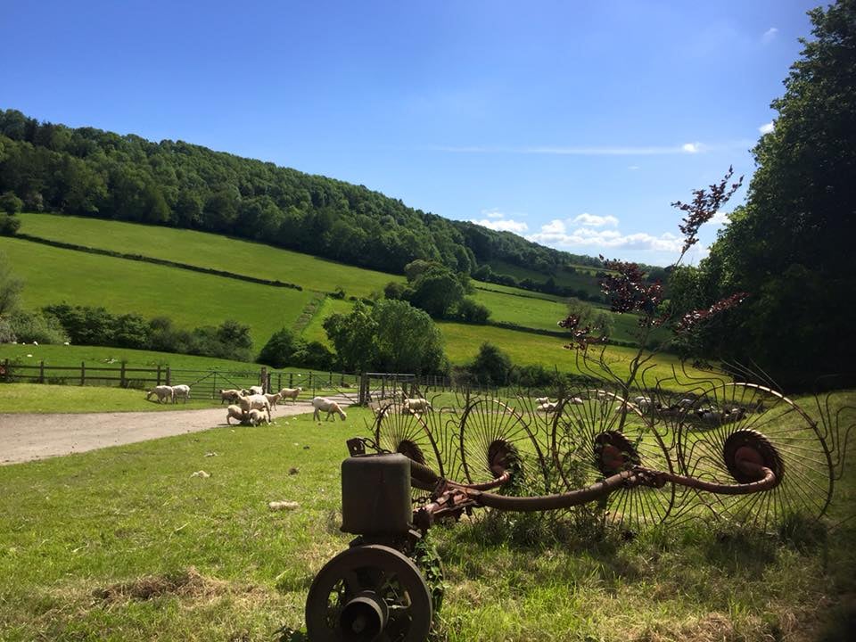 Ty-Poeth-farm-view