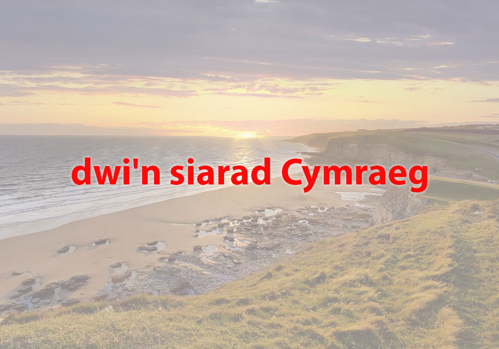 welsh in education strategic plan