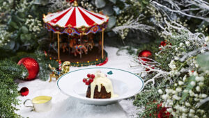 CC_CHRISTMAS_PUDDING_034_ef_1