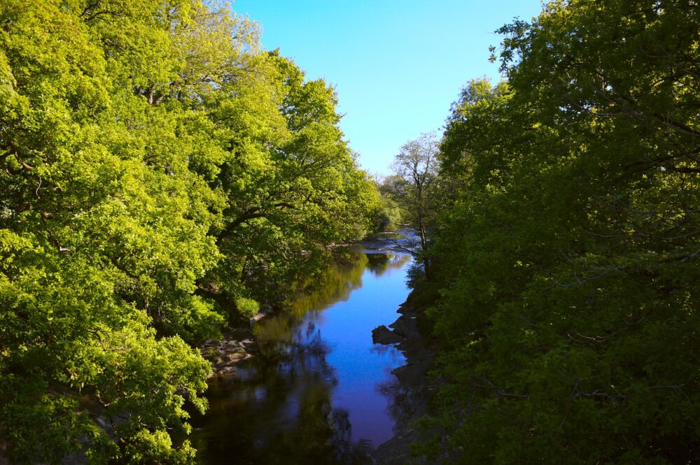 carmarthenshire river-5141807_1280