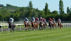 horse-race-1665688_1920