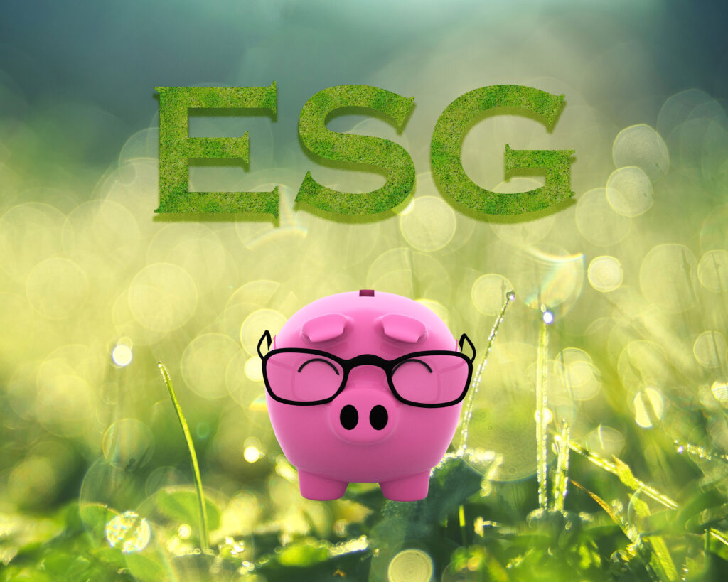 ESG-INVESTMENTS