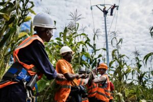 Principality supports a carbon offset project in the Democratic Republic of Congo