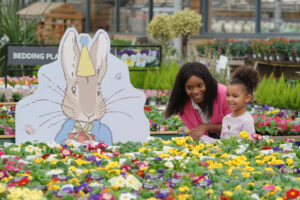 Dobbies - Peter Rabbit  1  SA