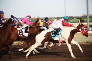 horses, horse racing, racetrack