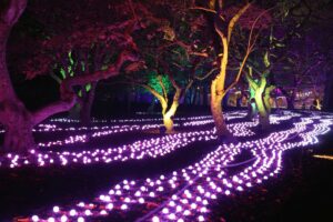 CABP light trail
