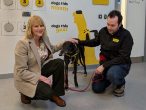 Carolyn Thomas MS visits Dogs Trust Cardiff