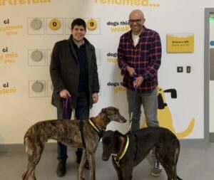 Councillors_Thomas_(left)_and_DeAth_are_pictured_with_Greyhounds_Desmond_and_Sidney_(1)
