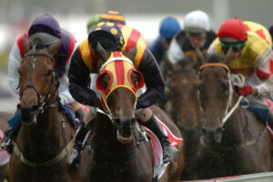 Horse racing winning