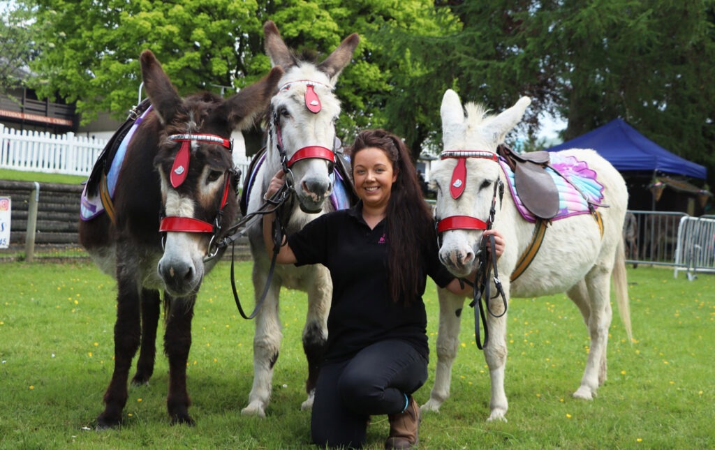 RWAS - Emma's Donkeys, Llanidloes