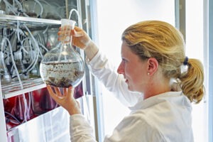 Scientist in lab coat looking at a beaker (1)