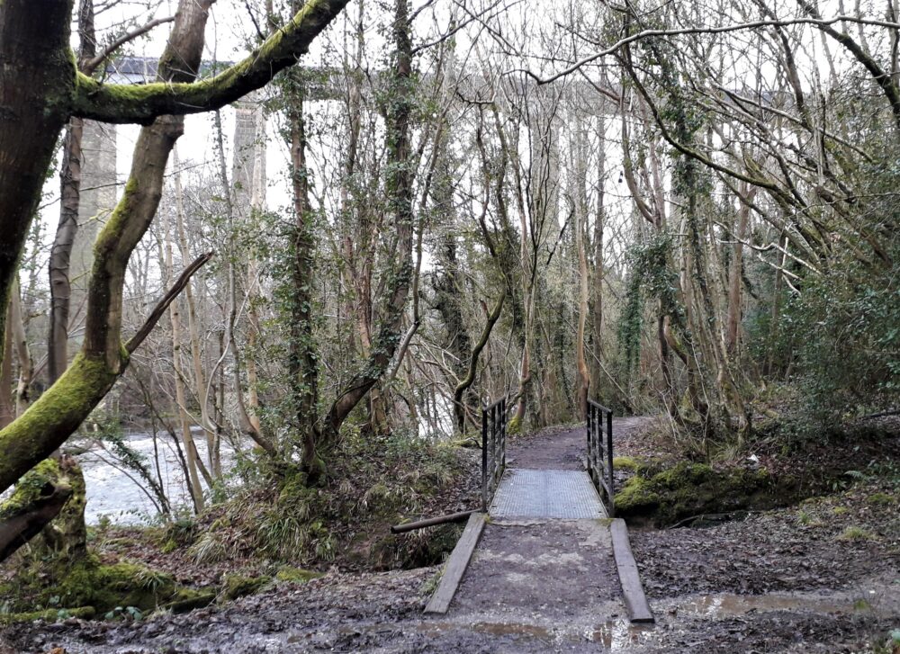 View of aqueduct with bridge from Ty Mawr direction (002)