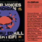 First Minister of Wales, Eluned Morgan MS joins Other Voices Cardigan 2024