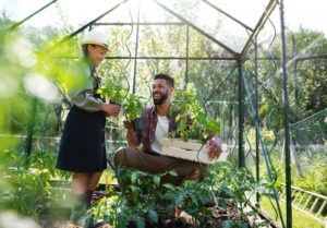 Happy young father with small daughter working outdoors in backyard, gardening and greenhouse concept.