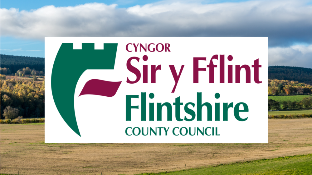 flintshire county council