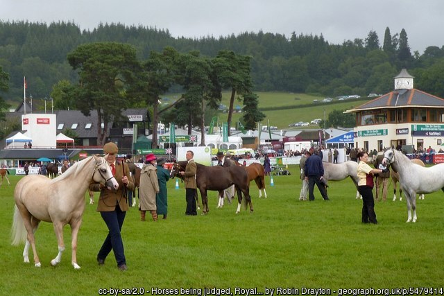 geograph-5479414-by-Robin-Drayton