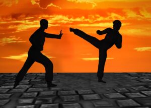 martial-arts-2544677_1280