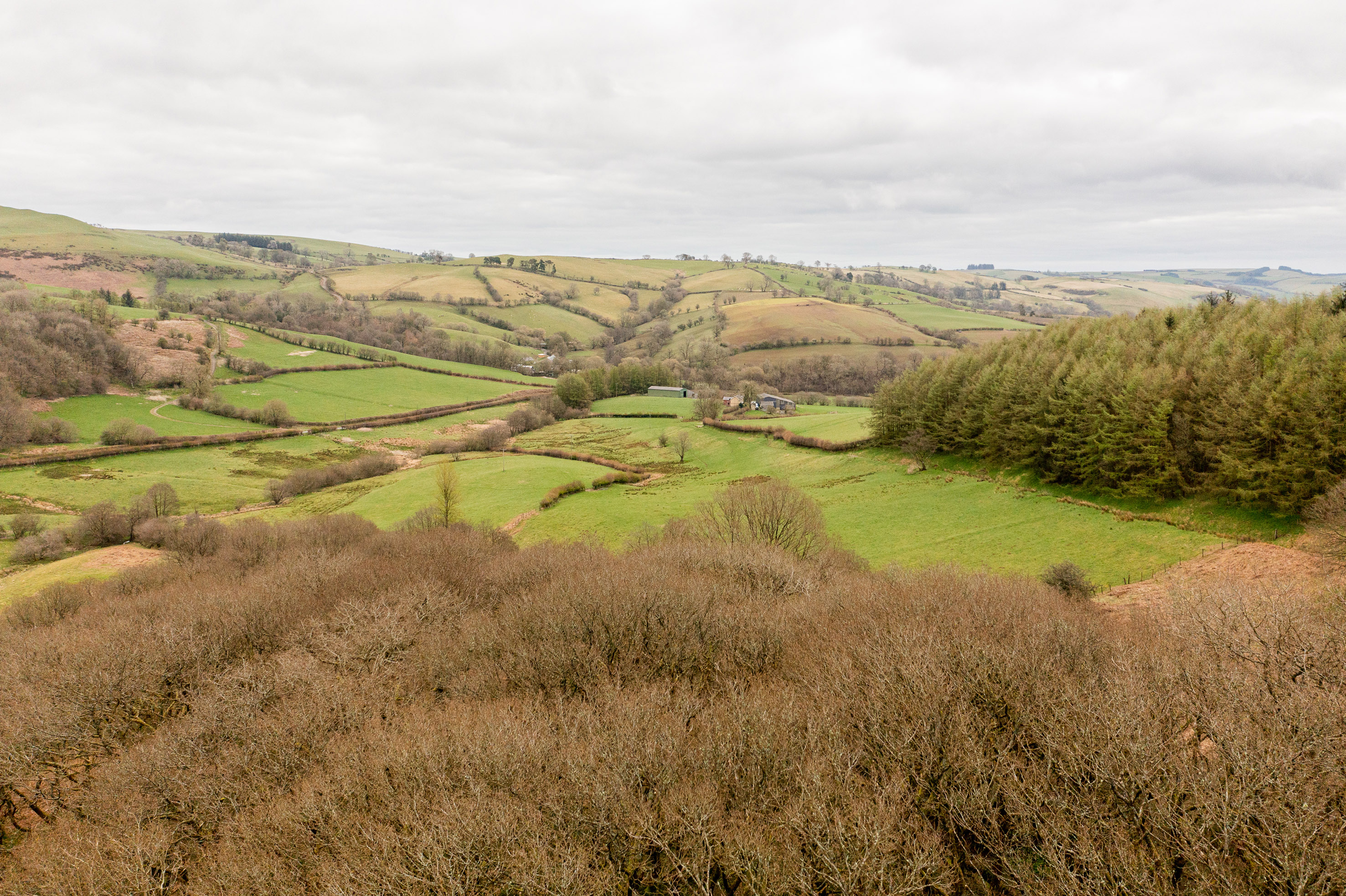 Small charity takes out big loan to boost nature in Wales