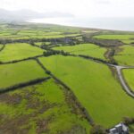 Organic estate to reshape portfolio – creating new opportunities for future of farming
