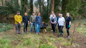 Swansea Building Society expands tree-planting initiative at Penllergare Valley Woods.