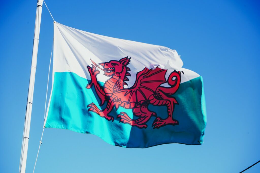 red and white flag with dragon